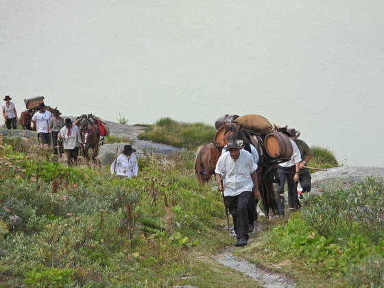 August 23, 2026 Switzerland Grimsel Pass Saeumerfest 23 Years of Sprinz Route from Sachseln to Domodossola Stage 4: Guttannen–Obergesteln Photo: The Saeumer with their horses climbing the Grimsel Pass; the Grimsel Lake in the background