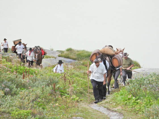 August 23, 2026 Switzerland Grimsel Pass Saeumerfest 23 Years of Sprinz Route from Sachseln to Domodossola Stage 4: Guttannen–Obergesteln Photo: The Saeumer with their horses climbing the Grimsel Pass; the Grimsel Lake in the background