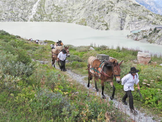 August 23, 2026, Switzerland, Grimsel Pass, Saeumerfest (23rd Anniversary of the Sprinz Route) from Sachseln to Domodossola, Stage 4: Guttannen–Obergesteln. Photo: The Saeumer with their horses climbing the Grimsel Pass; the Grimsel Reservoir in the background.