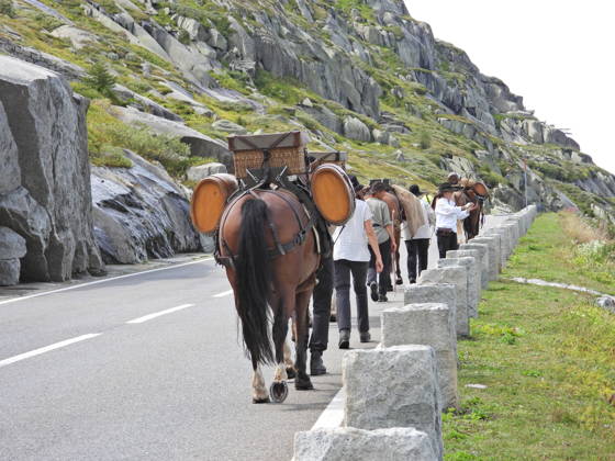 August 23, 2026, Switzerland, Grimsel Pass, Saeumerfest (23rd Anniversary), Sprinz Route from Sachseln to Domodossola, Stage 4: Guttannen–Obergesteln. Photo: The Saeumer with their horses on the ascent to the Grimsel Pass