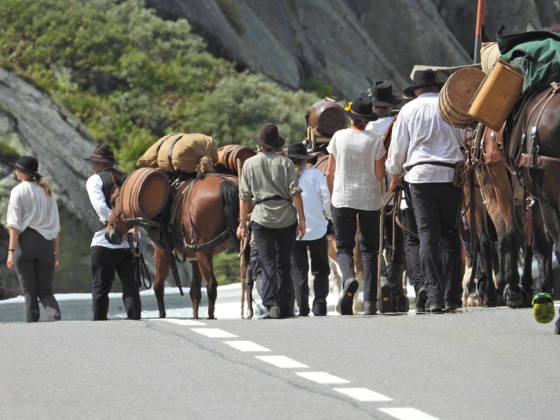August 23, 2026, Switzerland, Grimsel Pass, Saeumerfest (23rd Anniversary), Sprinz Route from Sachseln to Domodossola, Stage 4: Guttannen–Obergesteln. Photo: The Saeumer with their horses on the ascent to the Grimsel Pass
