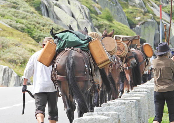 August 23, 2026, Switzerland, Grimsel Pass, Saeumerfest (23rd Anniversary), Sprinz Route from Sachseln to Domodossola, Stage 4: Guttannen–Obergesteln. Photo: The Saeumer with their horses on the ascent to the Grimsel Pass