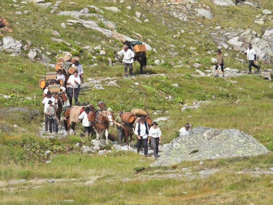 August 23, 2026, Switzerland, Grimsel Pass, Saeumerfest (23rd Anniversary), Sprinz Route from Sachseln to Domodossola, Stage 4: Guttannen–Obergesteln. Photo: The Saeumer with their horses on the ascent to the Grimsel Pass