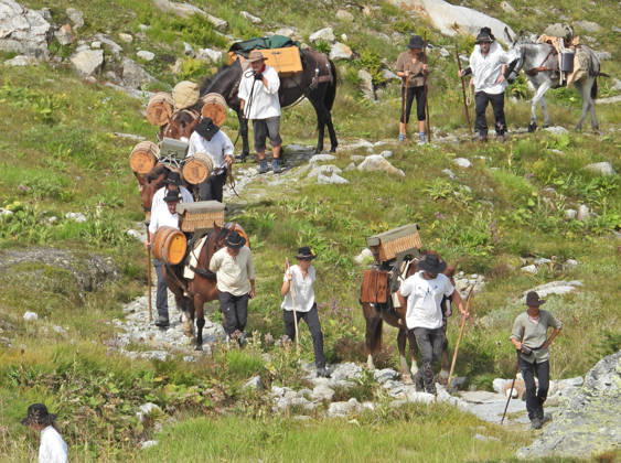 August 23, 2026, Switzerland, Grimsel Pass, Saeumerfest (23rd Anniversary), Sprinz Route from Sachseln to Domodossola, Stage 4: Guttannen–Obergesteln. Photo: The Saeumer with their horses on the ascent to the Grimsel Pass