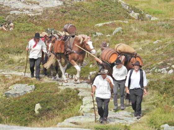 August 23, 2026, Switzerland, Grimsel Pass, Saeumerfest (23rd Anniversary), Sprinz Route from Sachseln to Domodossola, Stage 4: Guttannen–Obergesteln. Photo: The Saeumer with their horses on the ascent to the Grimsel Pass