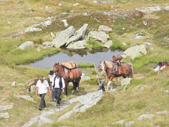 August 23, 2026, Switzerland, Grimsel Pass, Saeumerfest (23rd Anniversary), Sprinz Route from Sachseln to Domodossola, Stage 4: Guttannen–Obergesteln. Photo: The Saeumer with their horses on the ascent to the Grimsel Pass