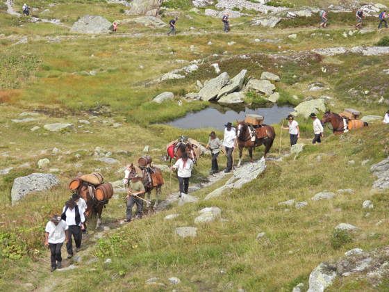 August 23, 2026, Switzerland, Grimsel Pass, Saeumerfest (23rd Anniversary), Sprinz Route from Sachseln to Domodossola, Stage 4: Guttannen–Obergesteln. Photo: The Saeumer with their horses on the ascent to the Grimsel Pass