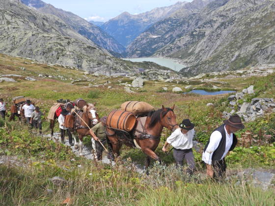 August 23, 2026, Switzerland, Grimsel Pass, Saeumerfest (23rd Anniversary), Sprinz Route from Sachseln to Domodossola, Stage 4: Guttannen–Obergesteln. Photo: The Saeumer with their horses on the ascent to the Grimsel Pass