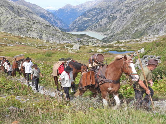 August 23, 2026 Switzerland Grimsel Pass Saeumerfest 23 Years of Sprinz Route from Sachseln to Domodossola Stage 4: Guttannen–Obergesteln Photo: The Saeumer with horses on the ascent to the Grimsel Pass; Lake Raeterichsboen in the background