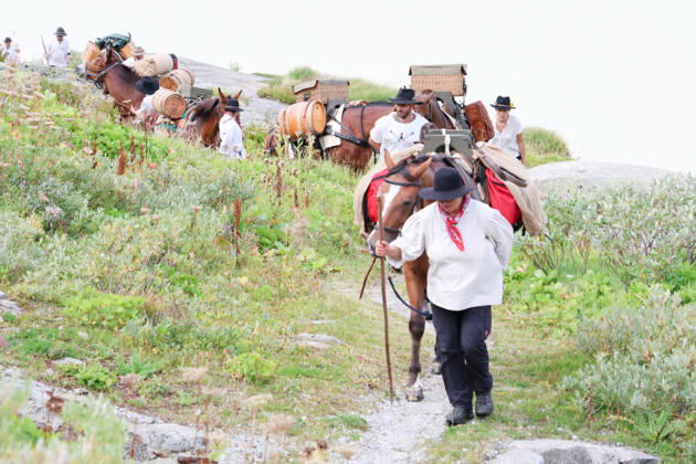 August 23, 2026, Switzerland, Grimsel Pass, Saeumerfest (23rd Anniversary of the Sprinz Route) from Sachseln to Domodossola, Stage 4: Guttannen–Obergesteln. Photo: The Saeumer with their horses climbing the Grimsel Pass; in the background, the Grimsel Reservoir.