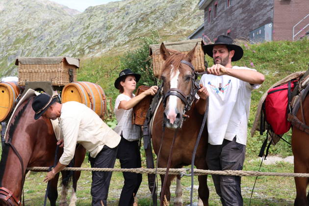 August 23, 2026, Switzerland, Grimsel Pass, Saeumerfest, 23 Years of Sprinz, Route from Sachseln to Domodossola, Stage 4: Guttannen–Obergesteln, Photo: The Saeumer with their horses during a stopover on the Grimsel Pass