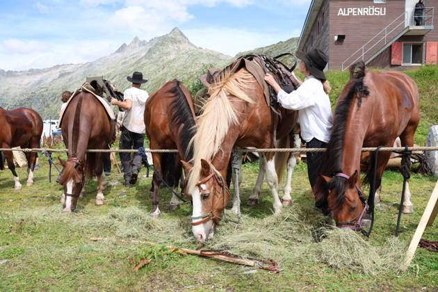 August 23, 2026, Switzerland, Grimsel Pass, Saeumerfest, 23 Years of the Sprinz Route from Sachseln to Domodossola, Stage 4: Guttannen–Obergesteln. Photo: The Saeumer with their horses during a stopover on the Grimsel Pass