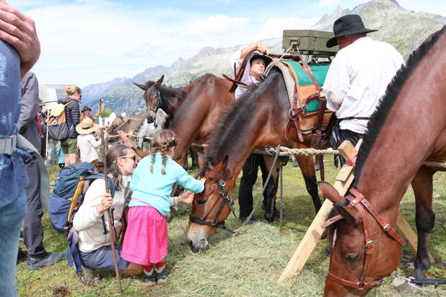 August 23, 2026, Switzerland, Grimsel Pass, Saeumerfest, 23 Years of the Sprinz Route from Sachseln to Domodossola, Stage 4: Guttannen–Obergesteln. Photo: The Saeumer with their horses during a stopover on the Grimsel Pass