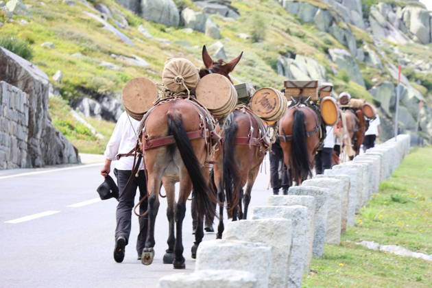 August 23, 2026 Switzerland Grimsel Pass Saeumerfest 23 Years of Sprinz Route from Sachseln to Domodossola Stage 4: Guttannen–Obergesteln Photo: The Saeumer with their horses on the ascent to the Grimsel Pass