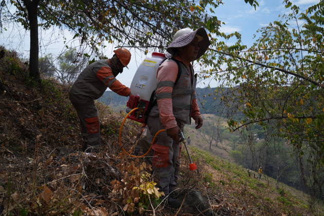 Wildfire in Colombia s Coello COELLO, COLOMBIA - AUGUST 26: Volunteers and firefighters work to contain a wildfire in Coello, Tolima department, Colombia, on August 26, 2026. Several municipalities across Tolima are facing wildfires fueled by dry conditions, high temperatures and strong winds, with emergency crews working to contain the flames and protect rural communities. Juancho Torres Anadolu Coello Colombia. Editorial use only. Please get in touch for any other usage.  Copyright: x2026xAnadoluxJuanchoxTorresx