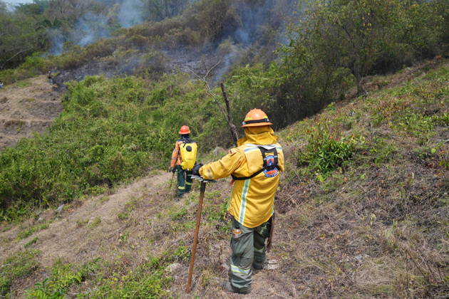 Wildfire in Colombia s Coello COELLO, COLOMBIA - AUGUST 26: Volunteers and firefighters work to contain a wildfire in Coello, Tolima department, Colombia, on August 26, 2026. Several municipalities across Tolima are facing wildfires fueled by dry conditions, high temperatures and strong winds, with emergency crews working to contain the flames and protect rural communities. Juancho Torres Anadolu Coello Colombia. Editorial use only. Please get in touch for any other usage.  Copyright: x2026xAnadoluxJuanchoxTorresx