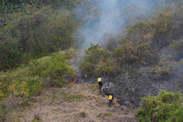 Wildfire in Colombia s Coello COELLO, COLOMBIA - AUGUST 26: Volunteers and firefighters work to contain a wildfire in Coello, Tolima department, Colombia, on August 26, 2026. Several municipalities across Tolima are facing wildfires fueled by dry conditions, high temperatures and strong winds, with emergency crews working to contain the flames and protect rural communities. Juancho Torres Anadolu Coello Colombia. Editorial use only. Please get in touch for any other usage.  Copyright: x2026xAnadoluxJuanchoxTorresx