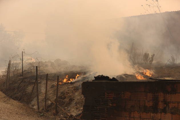 Wildfires in Algeria claim at least 12 lives across several provinces JIJEL, ALGERIA - AUGUST 27: Forest fires in eastern Algerian provinces turn green vegetation to ashes and cause material damage to homes and vehicles in the Beni Aicha village of Boraoui Belhadef Municipality in Jijel, Algeria on August 27, 2026. At least 12 people have died in wildfires that have swept through several provinces in Algeria, Interior Minister Said Sayoud said Wednesday, according to local media. The 159 fire outbreaks reported across the country have claimed five lives in Jijel, four in Bejaia and three in Tizi Ouzou. Hamza Zait Anadolu Jijel Algeria. Editorial use only. Please get in touch for any other usage.  Copyright: x2026xAnadoluxHamzaxZaitx