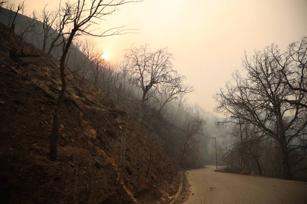 Wildfires in Algeria claim at least 12 lives across several provinces JIJEL, ALGERIA - AUGUST 27: Forest fires in eastern Algerian provinces turn green vegetation to ashes and cause material damage to homes and vehicles in the Beni Aicha village of Boraoui Belhadef Municipality in Jijel, Algeria on August 27, 2026. At least 12 people have died in wildfires that have swept through several provinces in Algeria, Interior Minister Said Sayoud said Wednesday, according to local media. The 159 fire outbreaks reported across the country have claimed five lives in Jijel, four in Bejaia and three in Tizi Ouzou. Hamza Zait Anadolu Jijel Algeria. Editorial use only. Please get in touch for any other usage.  Copyright: x2026xAnadoluxHamzaxZaitx
