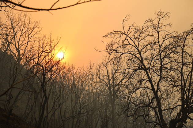 Wildfires in Algeria claim at least 12 lives across several provinces JIJEL, ALGERIA - AUGUST 27: Forest fires in eastern Algerian provinces turn green vegetation to ashes and cause material damage to homes and vehicles in the Beni Aicha village of Boraoui Belhadef Municipality in Jijel, Algeria on August 27, 2026. At least 12 people have died in wildfires that have swept through several provinces in Algeria, Interior Minister Said Sayoud said Wednesday, according to local media. The 159 fire outbreaks reported across the country have claimed five lives in Jijel, four in Bejaia and three in Tizi Ouzou. Hamza Zait Anadolu Jijel Algeria. Editorial use only. Please get in touch for any other usage.  Copyright: x2026xAnadoluxHamzaxZaitx