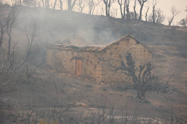 Wildfires in Algeria claim at least 12 lives across several provinces JIJEL, ALGERIA - AUGUST 27: Forest fires in eastern Algerian provinces turn green vegetation to ashes and cause material damage to homes and vehicles in the Beni Aicha village of Boraoui Belhadef Municipality in Jijel, Algeria on August 27, 2026. At least 12 people have died in wildfires that have swept through several provinces in Algeria, Interior Minister Said Sayoud said Wednesday, according to local media. The 159 fire outbreaks reported across the country have claimed five lives in Jijel, four in Bejaia and three in Tizi Ouzou. Hamza Zait Anadolu Jijel Algeria. Editorial use only. Please get in touch for any other usage.  Copyright: x2026xAnadoluxHamzaxZaitx