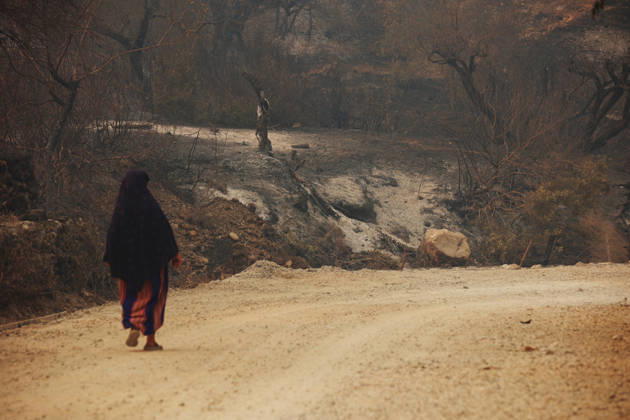 Wildfires in Algeria claim at least 12 lives across several provinces JIJEL, ALGERIA - AUGUST 27: Forest fires in eastern Algerian provinces turn green vegetation to ashes and cause material damage to homes and vehicles in the Beni Aicha village of Boraoui Belhadef Municipality in Jijel, Algeria on August 27, 2026. At least 12 people have died in wildfires that have swept through several provinces in Algeria, Interior Minister Said Sayoud said Wednesday, according to local media. The 159 fire outbreaks reported across the country have claimed five lives in Jijel, four in Bejaia and three in Tizi Ouzou. Hamza Zait Anadolu Jijel Algeria. Editorial use only. Please get in touch for any other usage.  Copyright: x2026xAnadoluxHamzaxZaitx