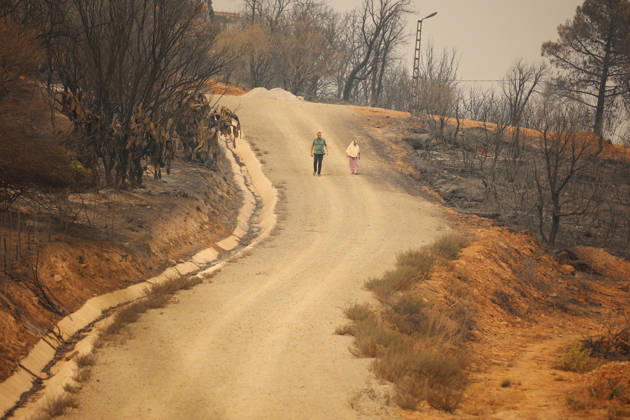 Wildfires in Algeria claim at least 12 lives across several provinces JIJEL, ALGERIA - AUGUST 27: Forest fires in eastern Algerian provinces turn green vegetation to ashes and cause material damage to homes and vehicles in the Beni Aicha village of Boraoui Belhadef Municipality in Jijel, Algeria on August 27, 2026. At least 12 people have died in wildfires that have swept through several provinces in Algeria, Interior Minister Said Sayoud said Wednesday, according to local media. The 159 fire outbreaks reported across the country have claimed five lives in Jijel, four in Bejaia and three in Tizi Ouzou. Hamza Zait Anadolu Jijel Algeria. Editorial use only. Please get in touch for any other usage.  Copyright: x2026xAnadoluxHamzaxZaitx