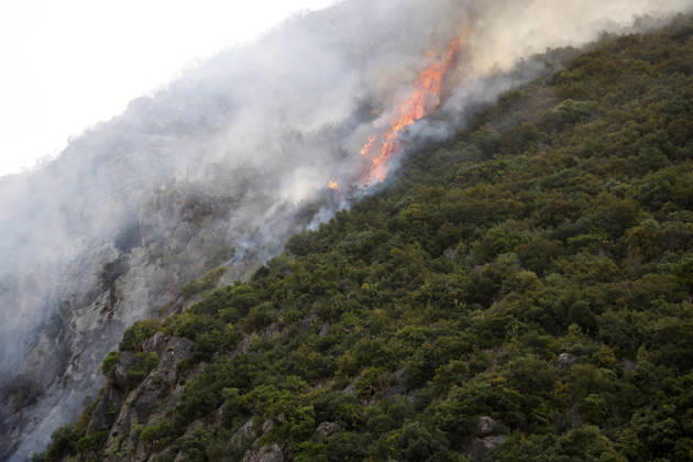 Fires in Jijel and Bedjaia: A general view of the burned houses, cars, and animals in the village of Nador, in the Jijel Mountains east of Algiers, in Algeria on August 27, 2026. The Algerian Ministry of the Interior announced that at least 12 people have died and 54 others have been injured in multiple forest fires across the country. Photo by Billel Bensalem, APP, Jijel, Algeria Copyright: xAlgÃ riexPressexPhotosxBillelxBensalemx xAPPx _MG_8941