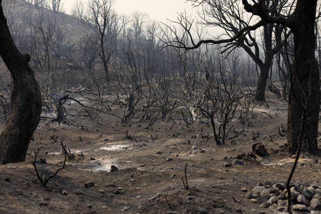 Fires in Jijel and Bedjaia: A general view of the burned houses, cars, and animals in the village of Nador, in the Jijel Mountains east of Algiers, in Algeria on August 27, 2026. The Algerian Ministry of the Interior announced that at least 12 people have died and 54 others have been injured in multiple forest fires across the country. Photo by Billel Bensalem, APP, Jijel, Algeria Copyright: xAlgÃ riexPressexPhotosxBillelxBensalemx xAPPx _MG_8995