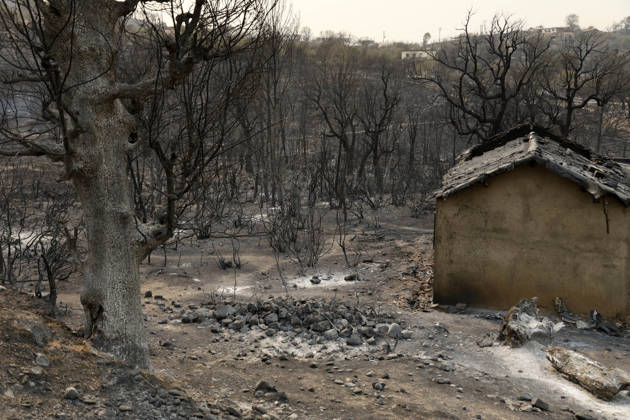 Fires in Jijel and Bedjaia: A general view of the burned-out houses, cars, and animals in the village of Nador, in the Jijel mountains east of Algiers, in Algeria on August 27, 2026. The Algerian Ministry of the Interior announced that at least 12 people have died and 54 others have been injured in multiple forest fires across the country. Photo by Billel Bensalem, APP, Jijel, Algeria Copyright: xAlgÃ riexPressexPhotosxBillelxBensalemx xAPPx _MG_9061