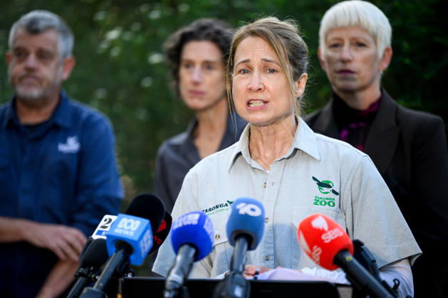 BIRD FLU PRESSER, Taronga Veterinary Pathology Registrar Dr Karrie Rose speaks to media during a press conference at Taronga Zoo, Sydney, Friday, August 28, 2026. The NSW Government has commenced a rollout of targeted vaccinations for vulnerable species of birds to help protect them against H5 avian influenza (bird flu). ( NO ARCHIVING SYDNEY NEW SOUTH WALES AUSTRALIA  Copyright: xBIANCAxDExMARCHIx 20260828160592832849