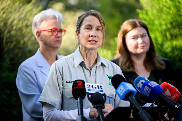 BIRD FLU PRESSER, Taronga Veterinary Pathology Registrar Dr Karrie Rose speaks to media during a press conference at Taronga Zoo, Sydney, Friday, August 28, 2026. The NSW Government has commenced a rollout of targeted vaccinations for vulnerable species of birds to help protect them against H5 avian influenza (bird flu). ( NO ARCHIVING SYDNEY NEW SOUTH WALES AUSTRALIA  Copyright: xBIANCAxDExMARCHIx 20260828197337629906