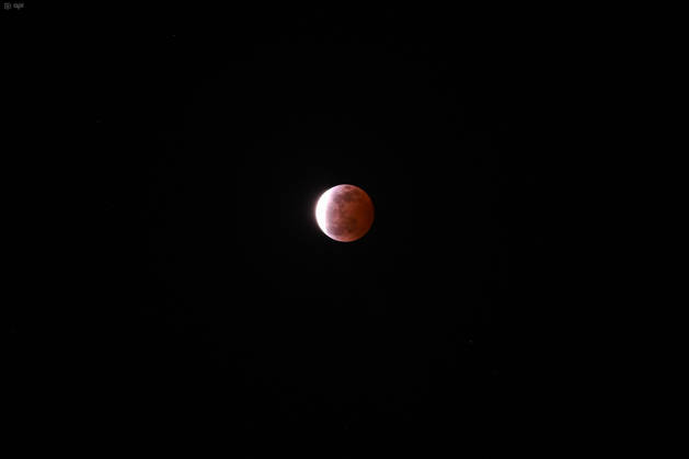 Manta, August 28, 2026 The partial lunar eclipse, with 90% coverage, cast reddish and dark hues; in Ecuador, it was visible from 8:23 p.m. and ended at 2:00 a.m. API PHOTO ARIEL OCHOA Manta Manabi Ecuador 20260827 242128 6a91116d797dd img 8499 jpeg Copyright: xArielxOchoax