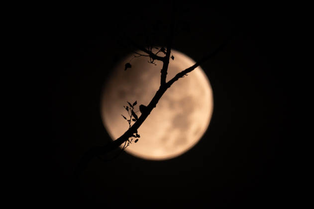 Partial lunar eclipse observed from Northern Hungary ZSUJTA, HUNGARY - AUGUST 28: A partial lunar eclipse, caused by the Moon passing through Earth s shadow, is observed near Zsujta, Hungary, on August 28, 2026. Robert Nemeti Anadolu Zsujta Hungary. Editorial use only. Please get in touch for any other usage.  Copyright: x2026xAnadoluxRobertxNemetix