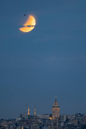 Partial lunar eclipse observed in Istanbul ISTANBUL, TURKIYE - AUGUST 28: A partial lunar eclipse is seen above the Galata Tower as birds fly across the sky in Istanbul, Turkiye, on August 28, 2026. Ahmet Okatali Anadolu Istanbul Turkey. Editorial use only. Please get in touch for any other usage.  Copyright: x2026xAnadoluxAhmetxOkatalix