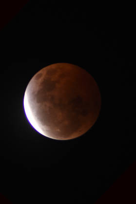 CURITIBA, PR - 28.08.2026: ECLIPSE LUNAR CURITIBA - The "near total" partial lunar eclipse occurred between the night of August 27th and the early morning of August 28th, 2026, and was visible throughout Brazil. The image was captured in Curitiba. x3005955x  EversonxBressan