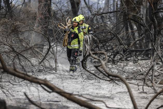 The town of El Saler in Valencia and nearby campgrounds are ordered to be evacuated due to the fire. Several firefighters are working to extinguish the blaze on August 28, 2026, in El Saler, Valencian Community, Spain. The spread of smoke had previously forced the precautionary evacuation of the beach near the fire zone and the apartments in Tower 1, according to the town council, which has recommended that residents keep their windows closed to prevent smoke from entering their homes. Additionally, the fire has prompted the Emergency Coordination Center to declare Level 2 of the Special Forest Fire Plan (PEIF). AUGUST 28, 2026 FIRE CIVIL PROTECTION VALENCIAN COMMUNITY ENVIRONMENT ENVIRONMENTAL DISASTERFOREST FIRE El Saler, Valencia, Valen Copyright: xRoberxSolsonax 7735608