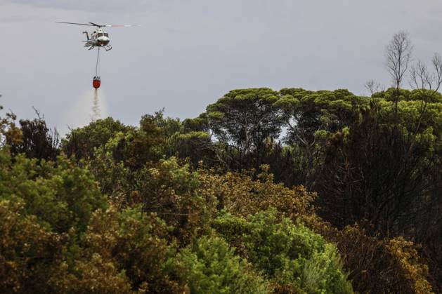 Residents of the town of El Saler in Valencia and nearby campgrounds are ordered to evacuate due to the fire. A firefighting helicopter drops water on August 28, 2026, in El Saler, Valencian Community, Spain. The spread of smoke had previously forced the preventive evacuation of the beach near the fire zone and the apartments in Tower 1, according to the town hall, which has recommended that residents keep their windows closed to prevent smoke from entering their homes. Additionally, the fire has prompted the Emergency Coordination Center to declare Level 2 under the Special Forest Fire Plan (PEIF). AUGUST 28, 2026 FIRE CIVIL PROTECTION VALENCIAN COMMUNITY ENVIRONMENT ENVIRONMENTAL DISASTERFOREST FIRE El Saler, Valencia, Valencian Communit Copyright: xRoberxSolsonax 7735625