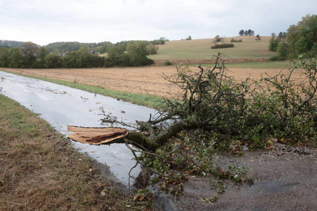 Severe Storm in Baden-Württemberg: A violent storm is sweeping across large parts of Baden-Württemberg. Dark thunderclouds, heavy rain, frequent lightning, and, in some places, strong gusts of wind characterize the weather conditions. Locally, the thunderstorms may be particularly intense. Sonnenbühl, Baden-Württemberg, Germany. Sonnenbühl Copyright: x xonw-imagesx xNicklasxWaltherx