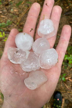 Severe Storm in Baden-Württemberg: A violent storm is sweeping across large parts of Baden-Württemberg. Dark thunderclouds, heavy rain, frequent lightning, and, in some places, strong gusts of wind are characterizing the weather conditions. Locally, the thunderstorms may be particularly intense. Ulm, Baden-Württemberg, Germany. Ulm Copyright: x xonw-imagesx xAlexanderxWolfx