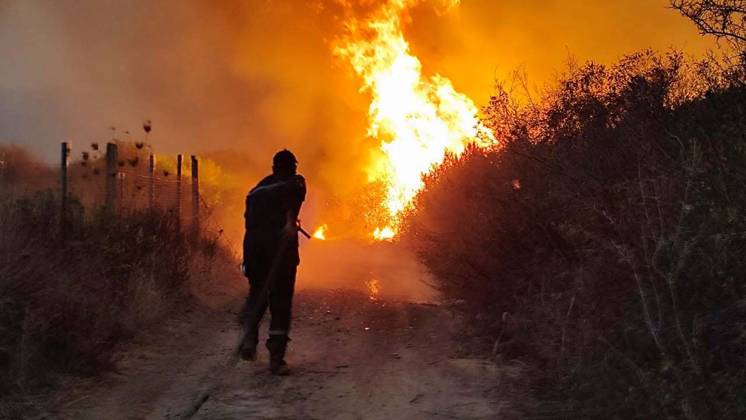 Algeria battles scores of wildfires that have killed 12, injured dozens JIJEL, ALGERIA - AUGUST 28: (----EDITORIAL USE ONLY - MANDATORY CREDIT - ALGERIAN GENERAL DIRECTORATE OF CIVIL PROTECTION HANDOUT - NO MARKETING NO ADVERTISING CAMPAIGNS - DISTRIBUTED AS A SERVICE TO CLIENTS----) Algerian Civil Protection firefighters and emergency personnel conduct ground operation to battle a raging forest fire in the mountainous countryside near Jijel, Algeria, on August 28, 2026. Sixty-four wildfires were still burning across 10 Algerian provinces on Friday, most of them in the eastern Jijel province, after authorities extinguished 110 out of 174 fires that erupted nationwide over the past 24 hours. Algerian General Directorate of Civil Protecti  Copyright: x2026xAnadoluxAlgerianxGeneralxDirectoratexofxCivilxProtectionx xHandoutx