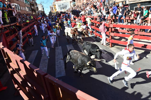 Sixth bull run of the San Sebastián de los Reyes festival in Madrid. Runners during the sixth bull run of the San Sebastián de los Reyes festival, featuring bulls from the Núnez de Tarifa ranch, on August 29, 2026, in San Sebastián de los Reyes, Madrid, Spain. This is one of the most iconic events of the patron saint festivities in honor of the Santísimo Cristo de los Remedios. The route is 820 meters long and runs from the pens to the bullring, drawing thousands of runners and spectators. During these days, there is also a nighttime bull run, bull releases, contests, and visits to the pens to see the bulls before the races. AUGUST 29, 2026 BULLS San Sebastián de los Reyes, Madrid San Sebastián de los Reyes, Madrid, Spain Copyright: xGustavoxValientex 7736704