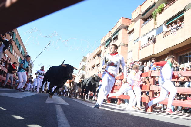 Sixth bull run of the San Sebastián de los Reyes festival in Madrid. Runners during the sixth bull run of the San Sebastián de los Reyes festival, featuring bulls from the Núnez de Tarifa ranch, on August 29, 2026, in San Sebastián de los Reyes, Madrid, Spain. This is one of the most iconic events of the patron saint festivities in honor of the Santísimo Cristo de los Remedios. The route is 820 meters long and runs from the pens to the bullring, drawing thousands of runners and spectators. During these days, there is also a nighttime bull run, bull releases, contests, and visits to the pens to see the bulls before the races. AUGUST 29, 2026 BULLS San Sebastián de los Reyes, Madrid San Sebastián de los Reyes, Madrid, Spain Copyright: xGustavoxValientex 7736703