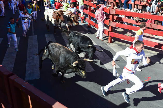 Sixth bull run of the San Sebastián de los Reyes festival in Madrid. Runners during the sixth bull run of the San Sebastián de los Reyes festival, featuring bulls from the Núnez de Tarifa ranch, on August 29, 2026, in San Sebastián de los Reyes, Madrid, Spain. This is one of the most iconic events of the patron saint festivities in honor of the Santísimo Cristo de los Remedios. The route is 820 meters long and runs from the pens to the bullring, drawing thousands of runners and spectators. During these days, there is also a nighttime bull run, a bull release, contests, and visits to the pens to see the bulls before the races. AUGUST 29, 2026 BULLS San Sebastián de los Reyes, Madrid San Sebastián de los Reyes, Madrid, Spain Copyright: xGustavoxValientex 7736937