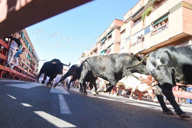 Sixth bull run of the San Sebastián de los Reyes festival in Madrid. Runners during the sixth bull run of the San Sebastián de los Reyes festival, featuring bulls from the Núnez de Tarifa ranch, on August 29, 2026, in San Sebastián de los Reyes, Madrid, Spain. This is one of the most iconic events of the patron saint festivities in honor of the Santísimo Cristo de los Remedios. The route is 820 meters long and runs from the pens to the bullring, drawing thousands of runners and spectators. During these days, there is also a nighttime bull run, a bull release, contests, and visits to the pens to see the bulls before the races. AUGUST 29, 2026 BULLS San Sebastián de los Reyes, Madrid San Sebastián de los Reyes, Madrid, Spain Copyright: xGustavoxValientex 7736938