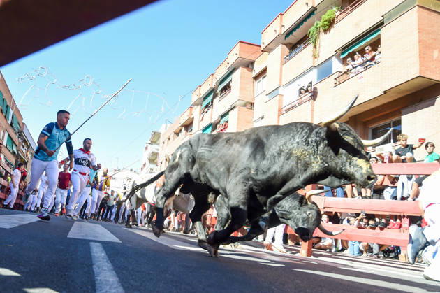 Sixth bull run of the San Sebastián de los Reyes festival in Madrid. Runners during the sixth bull run of the San Sebastián de los Reyes festival, featuring bulls from the Núnez de Tarifa ranch, on August 29, 2026, in San Sebastián de los Reyes, Madrid, Spain. This is one of the most iconic events of the patron saint festivities in honor of the Santísimo Cristo de los Remedios. The route is 820 meters long and runs from the pens to the bullring, drawing thousands of runners and spectators. During these days, there is also a nighttime bull run, a bull release, contests, and visits to the pens to see the bulls before the races. AUGUST 29, 2026 BULLS San Sebastián de los Reyes, Madrid San Sebastián de los Reyes, Madrid, Spain Copyright: xGustavoxValientex 7736939