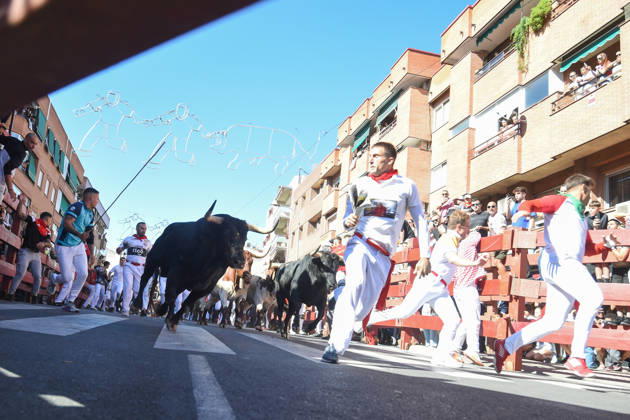 Sixth bull run of the San Sebastián de los Reyes festival in Madrid. Runners during the sixth bull run of the San Sebastián de los Reyes festival, featuring bulls from the Núnez de Tarifa ranch, on August 29, 2026, in San Sebastián de los Reyes, Madrid, Spain. This is one of the most iconic events of the patron saint festivities in honor of the Santísimo Cristo de los Remedios. The route is 820 meters long and runs from the pens to the bullring, drawing thousands of runners and spectators. During these days, there is also a nighttime bull run, a bull release, contests, and visits to the pens to see the bulls before the races. AUGUST 29, 2026 BULLS San Sebastián de los Reyes, Madrid San Sebastián de los Reyes, Madrid, Spain Copyright: xGustavoxValientex 7736940