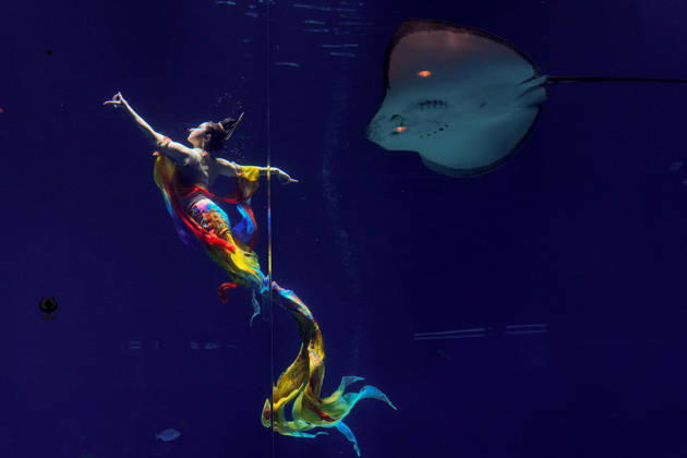 LINGSHUI, CHINA - AUGUST 29: Xu Shenjie of Team China competes in the women s individual mermaid dance preliminary round during 2026 China Mermaid Open (Lingshui Station) at Hainan Ocean Paradise Resort on August 29, 2026 in Lingshui, Hainan Province of China.  Copyright: xChinaxNewsxServicex 111662890977