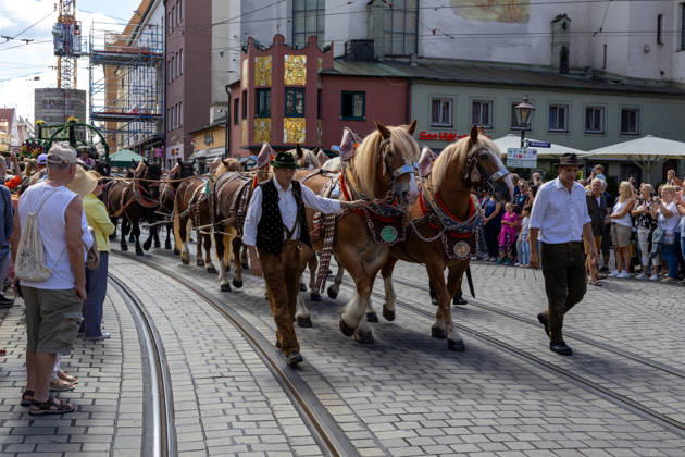 Augsburg, Bavaria, Germany August 29, 2026: Traditional Plärrer parade in Augsburg. A traditional horse-drawn procession featuring decorated draft horses and parade floats winds its way through downtown Augsburg during the Plärrer parade. Numerous spectators line the parade route