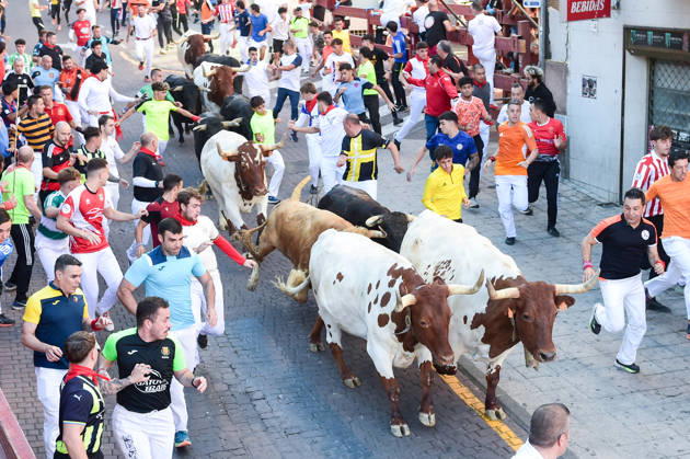 Seventh bull run of the San Sebastián de los Reyes festival in Madrid. Runners during the seventh bull run of the San Sebastián de los Reyes festival, featuring bulls from the Juan Pedro Domecq and Álvaro Núnez ranches, on August 30, 2026, in San Sebastián de los Reyes, Madrid, Spain. This is one of the most iconic events of the patron saint festivities in honor of the Santísimo Cristo de los Remedios. The route is 820 meters long and runs from the pens to the bullring, bringing together thousands of runners and spectators. During these days, there is also a nighttime bull run, bull releases, contests, and visits to the pens to see the bulls before the races. AUGUST 30, 2026 BULLS LOCAL FESTIVITIES San Sebastián de los Reyes, Madrid San Se Copyright: xGustavoxValientex 7738329